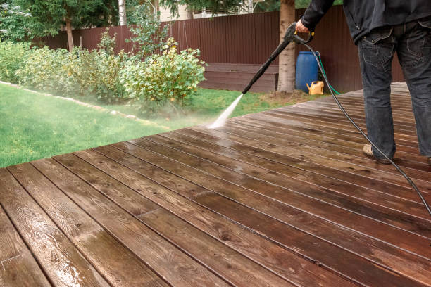 Best Soft Washing  in Ortonville, MI